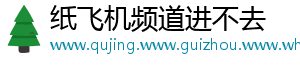 纸飞机频道进不去